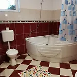 Guest house Pensiunea Hora
