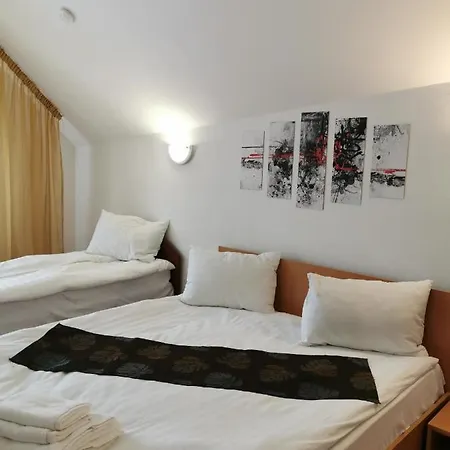 Pensiunea Hora Braşov