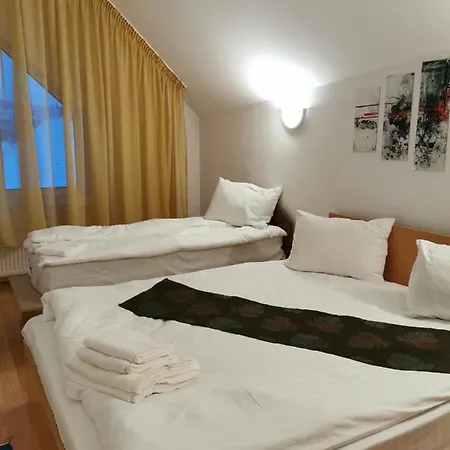 Gæstehus Pensiunea Hora