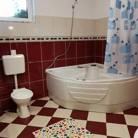 בית הארחה Pensiunea Hora