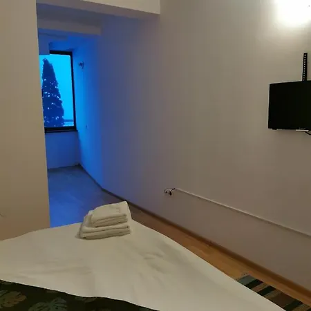 Gæstehus Pensiunea Hora 3*