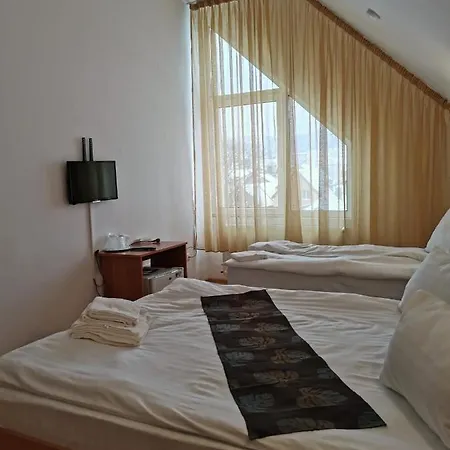 Pensiunea Hora 3* Braşov