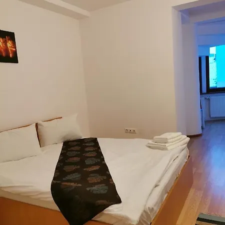 Gæstehus Pensiunea Hora