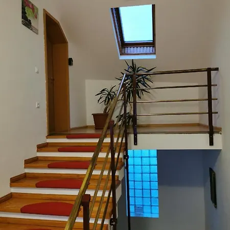 Pensiunea Hora 3* Braşov