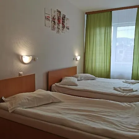 Gæstehus Pensiunea Hora 3*