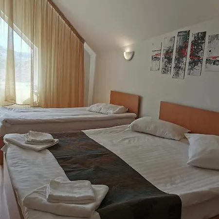 Pensiunea Hora בית הארחה 3*