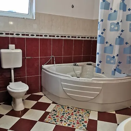 Pensiunea Hora بيت ضيافة