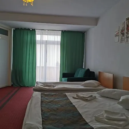 Gæstehus Pensiunea Hora Braşov