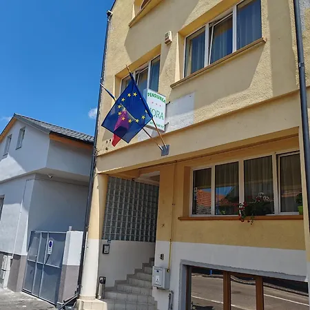 Pensiunea Hora