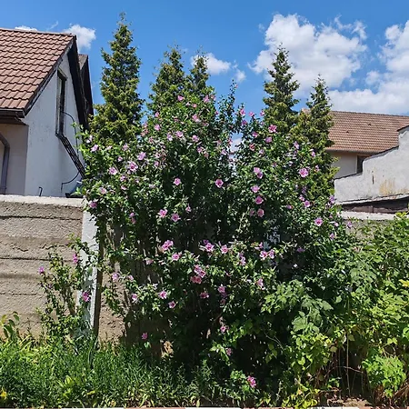 Pensiunea Hora Gæstehus