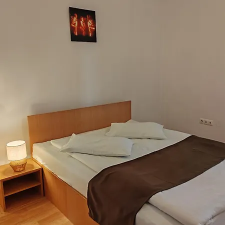 Pensiunea Hora بيت ضيافة 3*