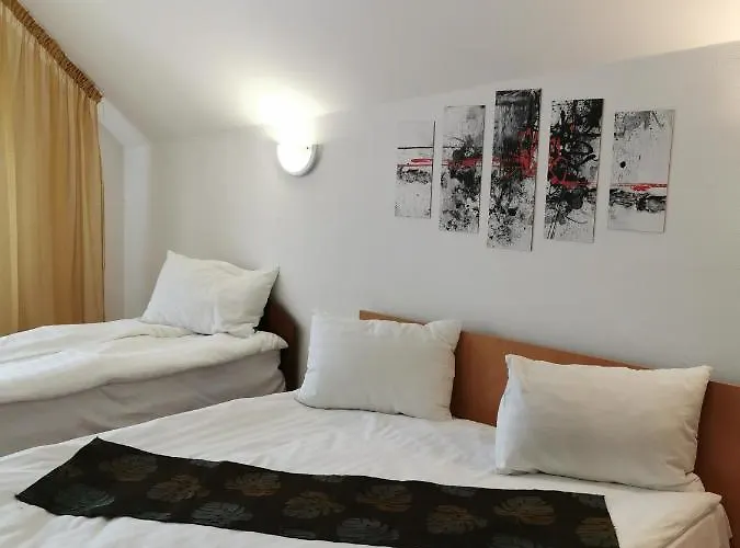 Pensiunea Hora Brasov