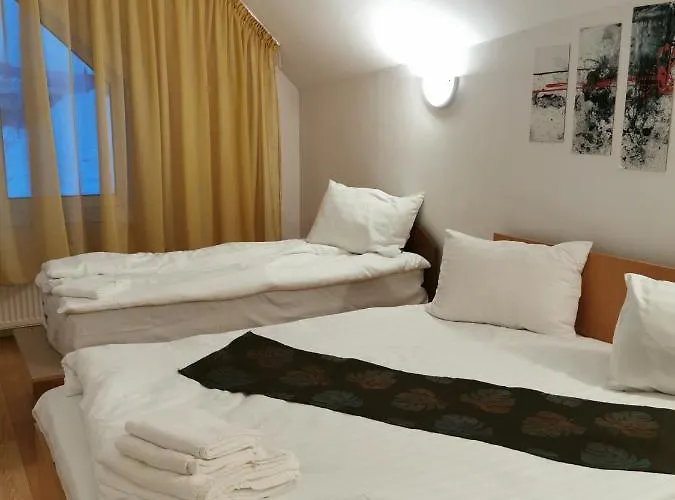 Guest house Pensiunea Hora