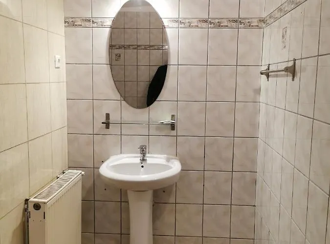 Pensiunea Hora Guest house Brasov