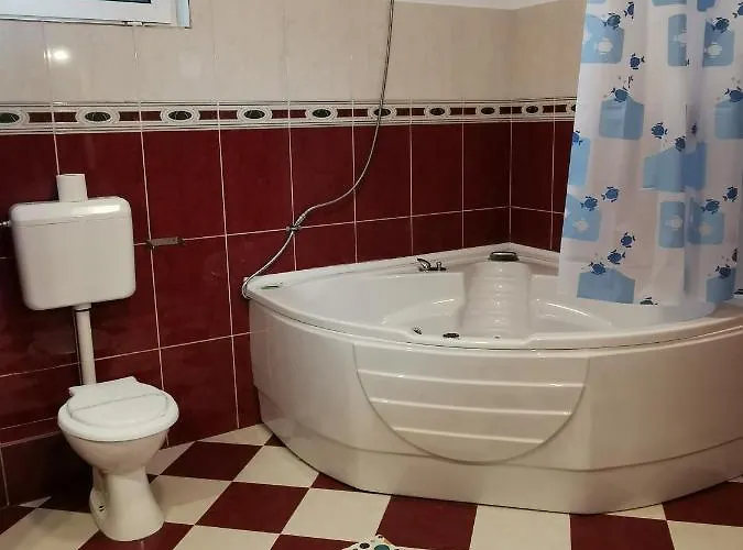 Guest house Pensiunea Hora