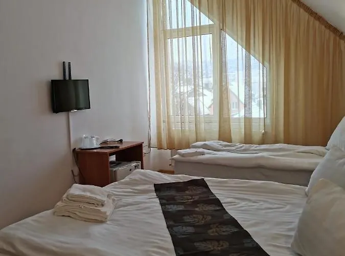 Pensiunea Hora 3* Brasov