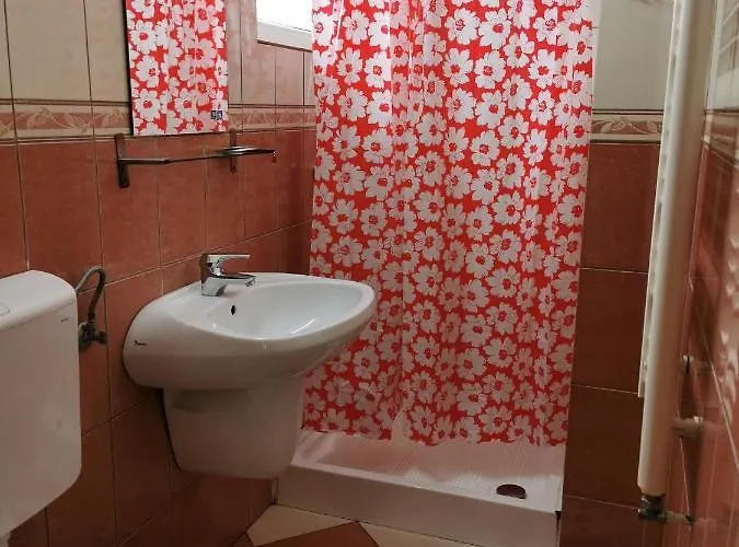 Pensiunea Hora Guest house