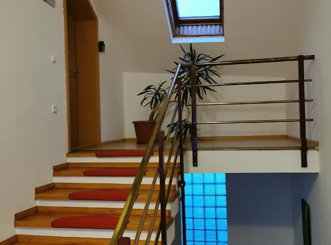 Pensiunea Hora 3* Brasov