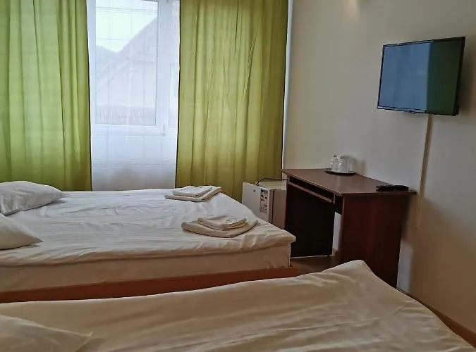 Guest house Pensiunea Hora