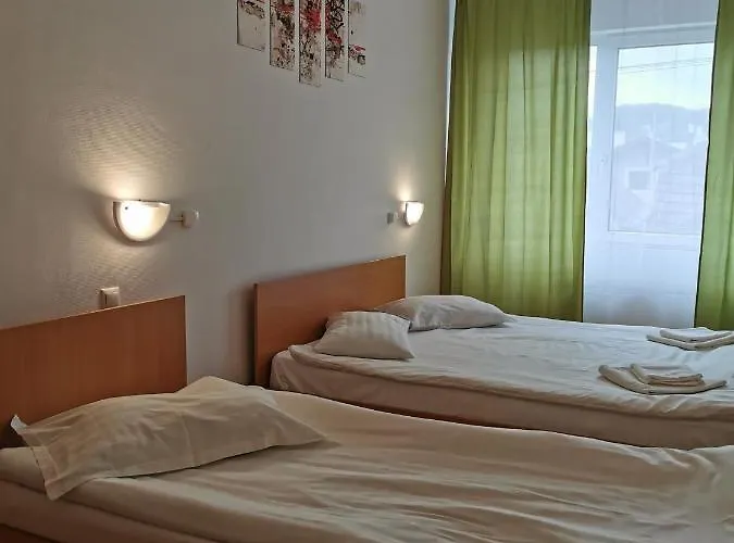 Guest house Pensiunea Hora 3*