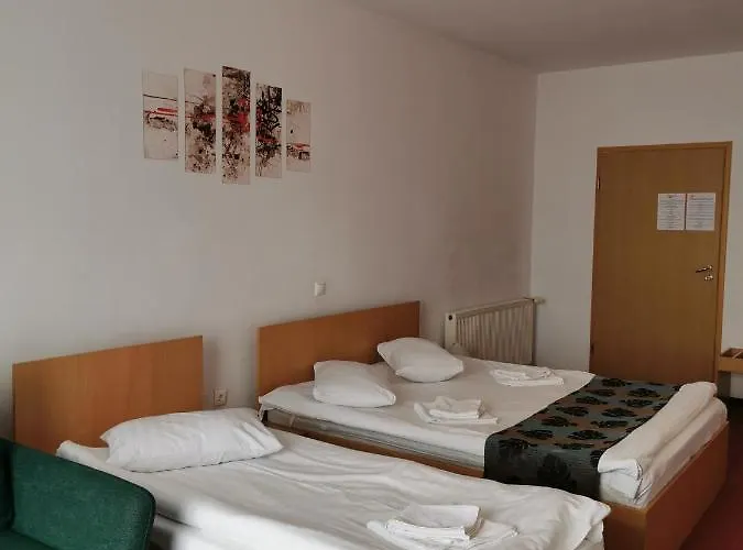 Pensiunea Hora 3* Brașov