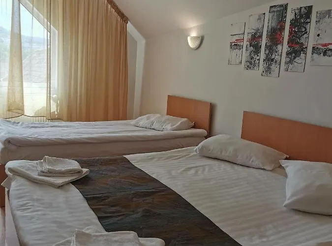 Pensiunea Hora Gasthof 3*