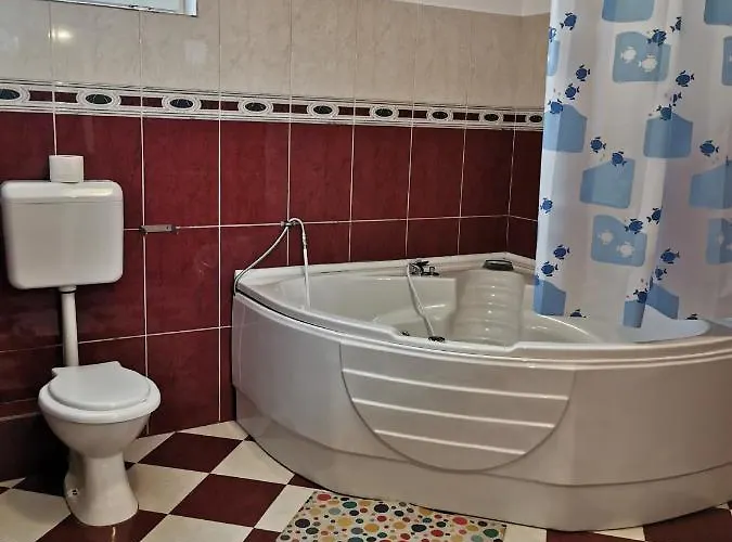 Pensiunea Hora Guest house