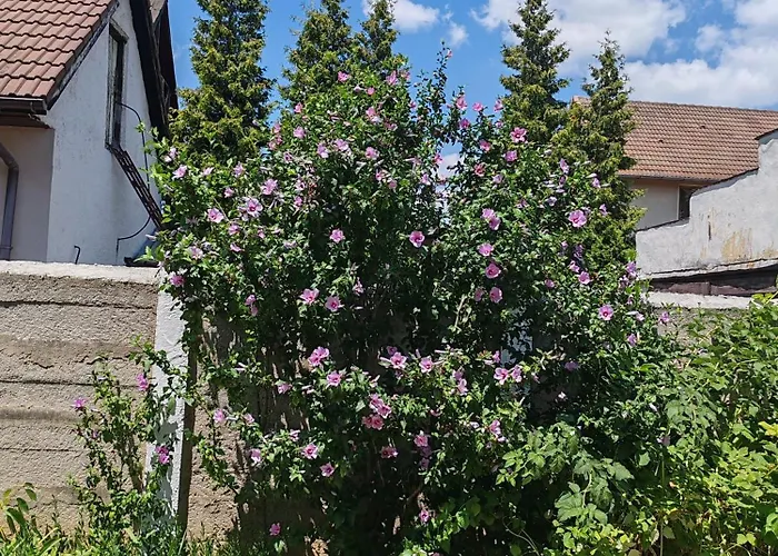 Pensiunea Hora Gasthof