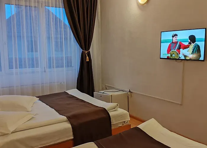 Pensiunea Hora Gasthof 3*