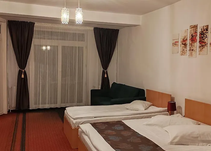 Pensiunea Hora Gasthof Brașov