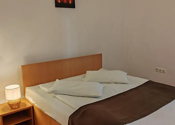 Pensiunea Hora Gasthof 3*