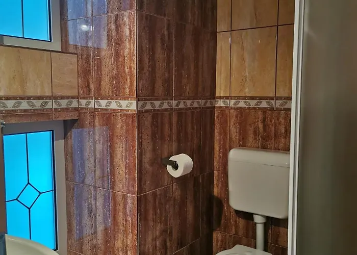 Gasthof Pensiunea Hora Brașov